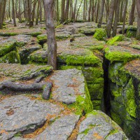 Warsaw Caves Conserv...
