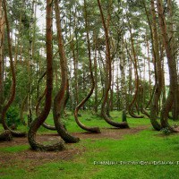 files/places/244/5-s-730x370.jpg