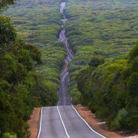 Road in Kangaroo Isl...