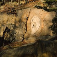 Bretschneiders ear, ...