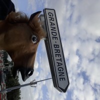 Calais - Kanał La M...